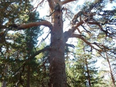 Lagunas de Neila y Cañón del Río Lobos;nacimiento del río cuervo la barranca navacerrada bola de